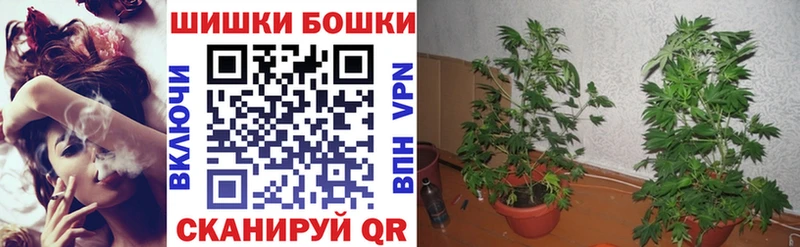 Каннабис ГИДРОПОН OMG вход Малоархангельск
